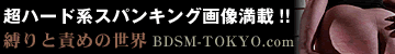 BDSM-TOKYO.com Ɛӂ߂̐E